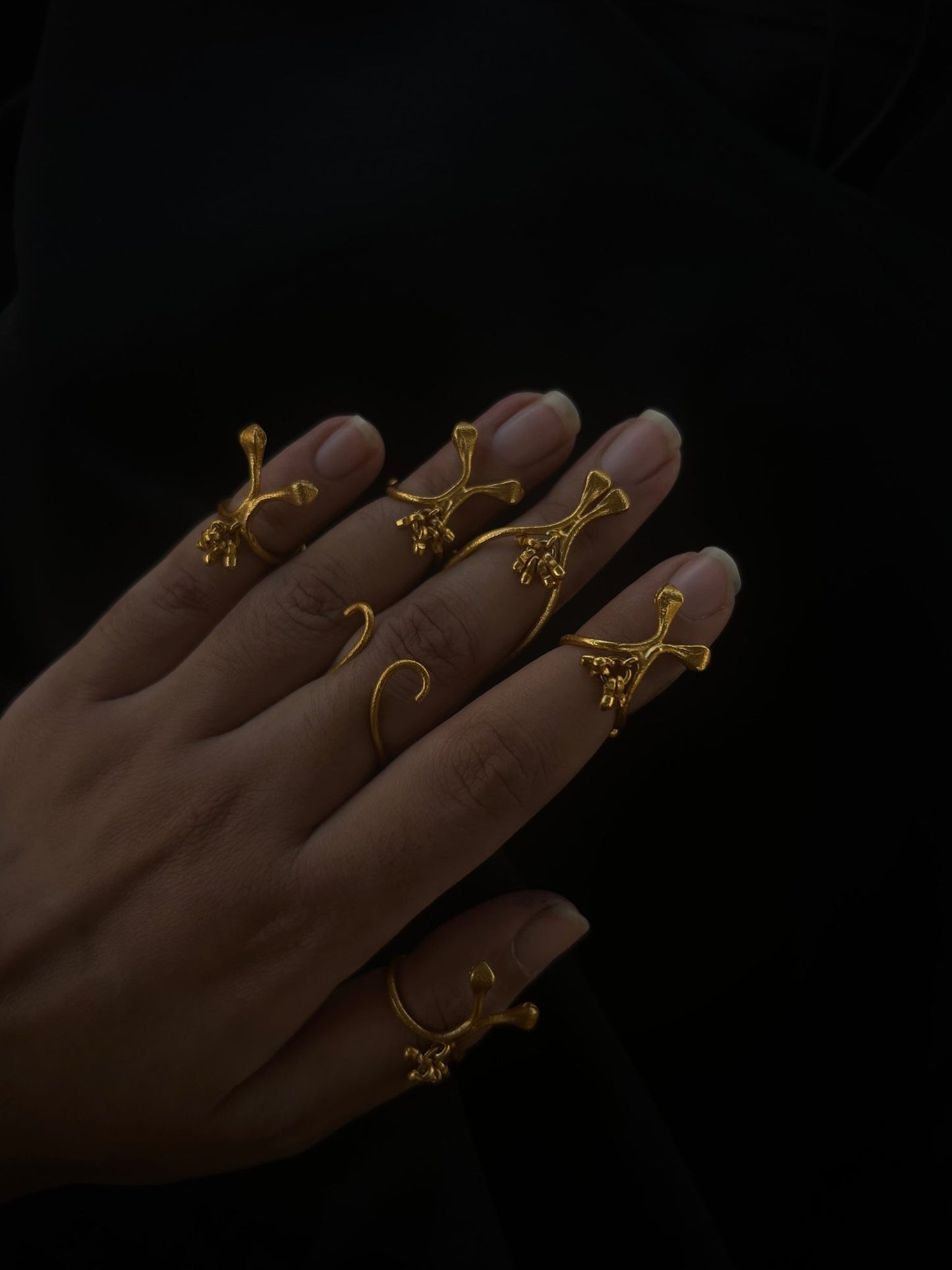 Darvi Rings