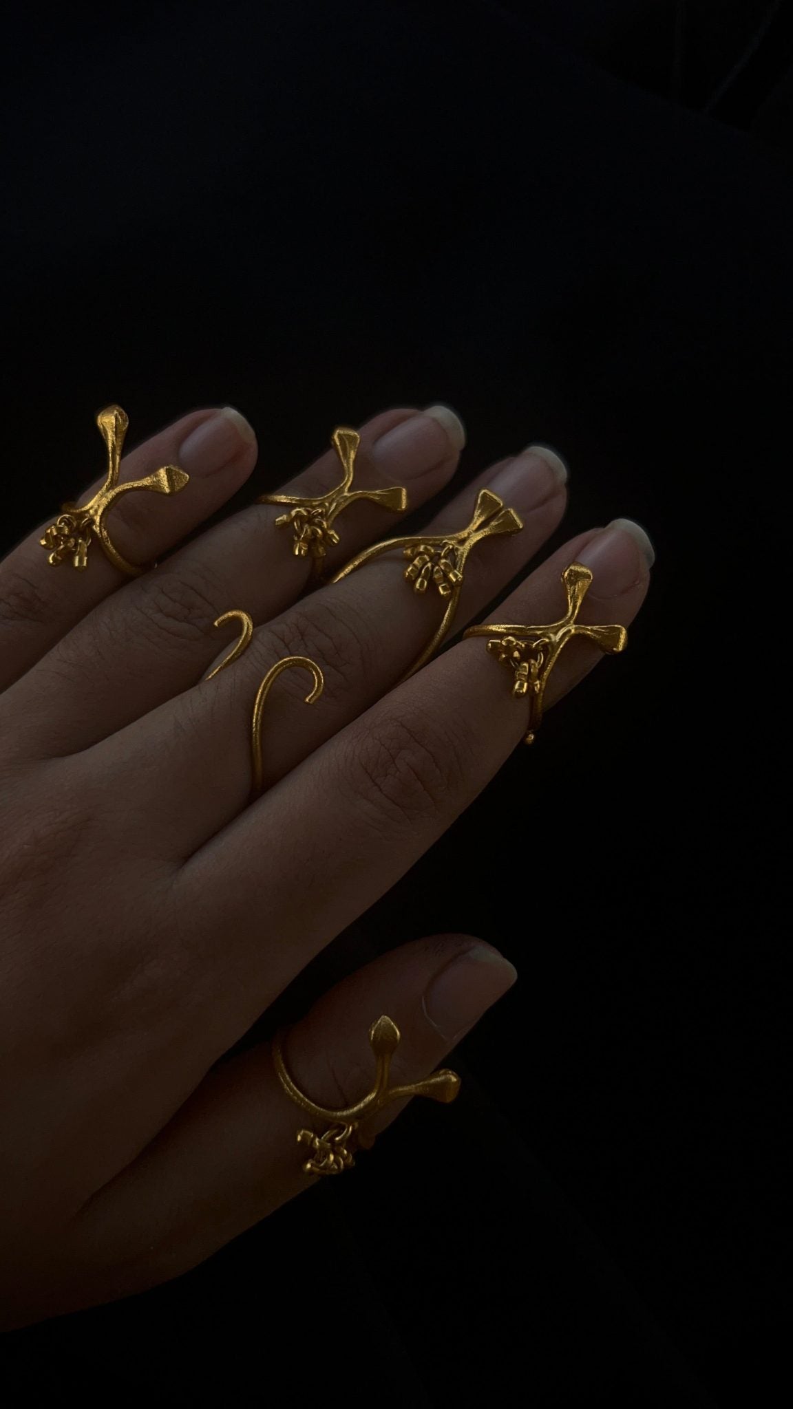 Darvi Rings