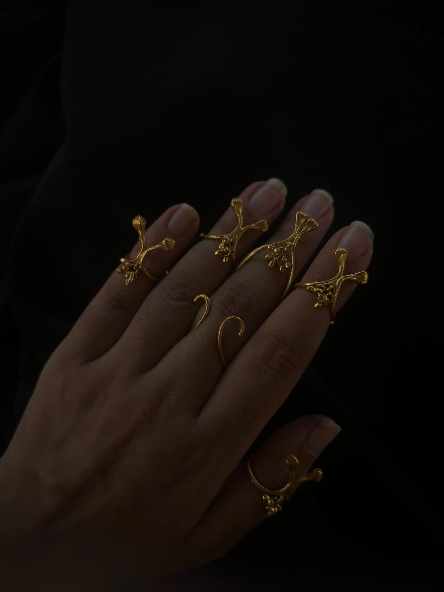 Darvi Rings