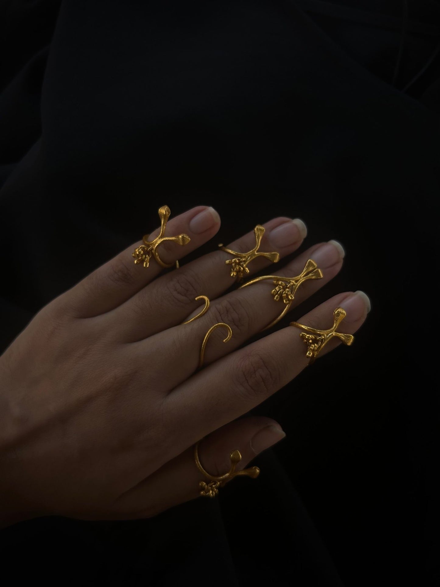 Darvi Rings