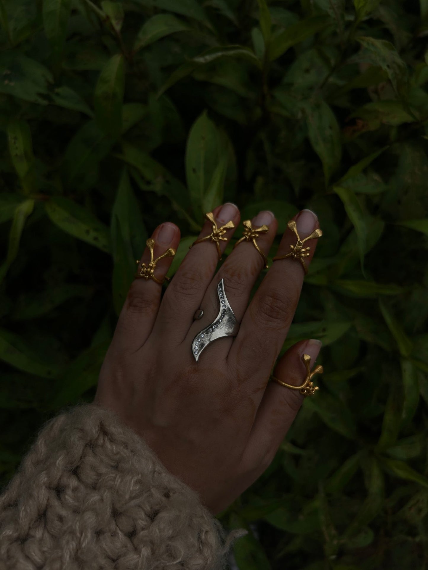 Sire Ring