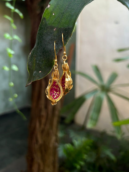 Dragon Fruit